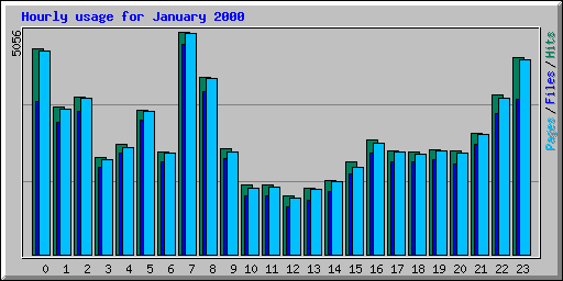 Hourly usage for January 2000
