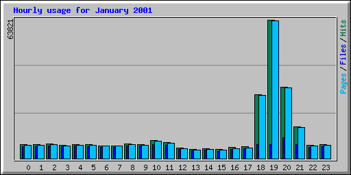 Hourly usage for January 2001