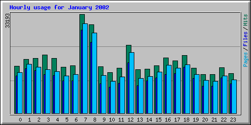 Hourly usage for January 2002