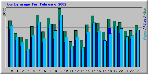 Hourly usage for February 2002