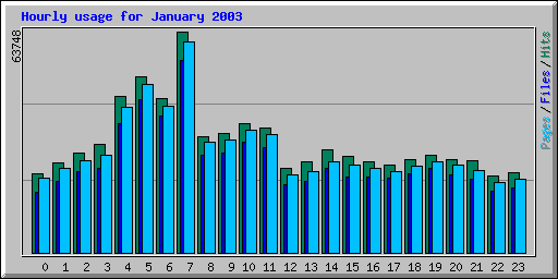 Hourly usage for January 2003